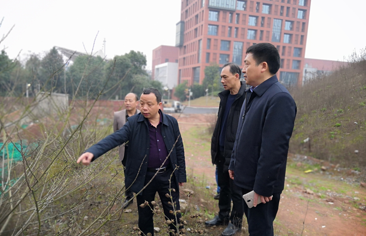 明博网页版登录界面开展校园安全大检查活动